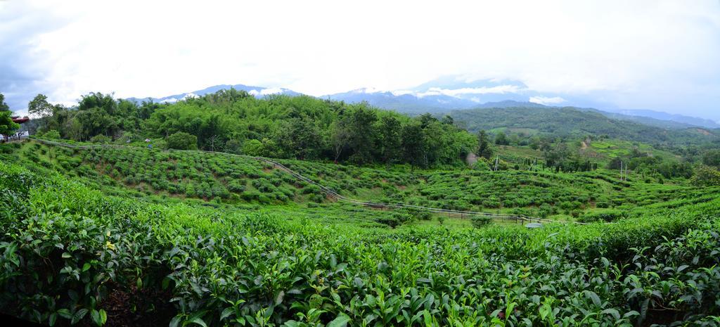 Sabah Tea Resort ราเนา ภายนอก รูปภาพ