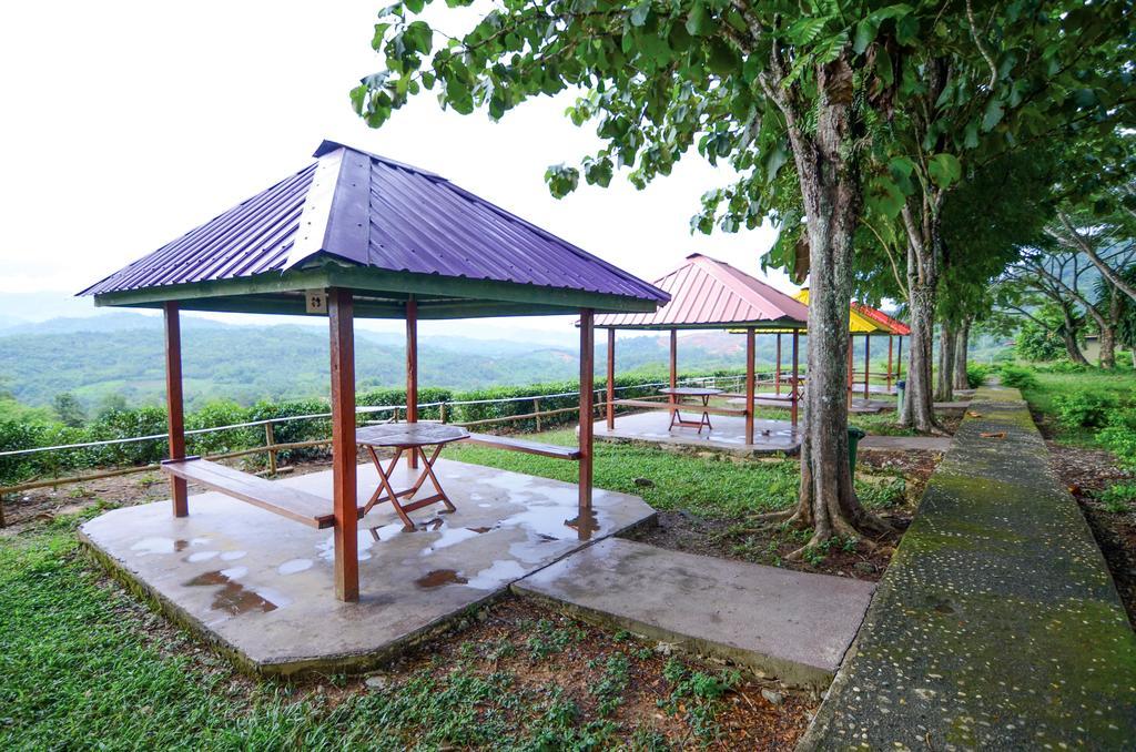 Sabah Tea Resort ราเนา ภายนอก รูปภาพ