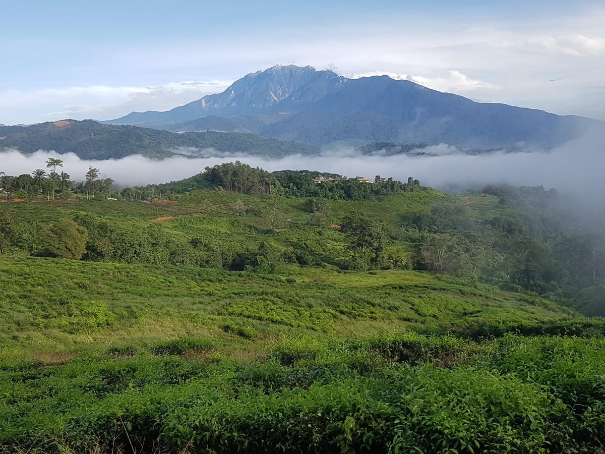 Sabah Tea Resort ราเนา ภายนอก รูปภาพ