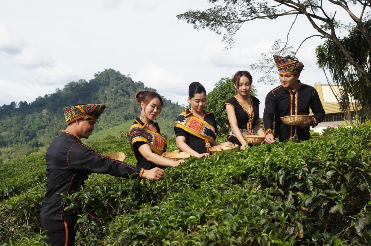 Sabah Tea Resort ราเนา ภายนอก รูปภาพ