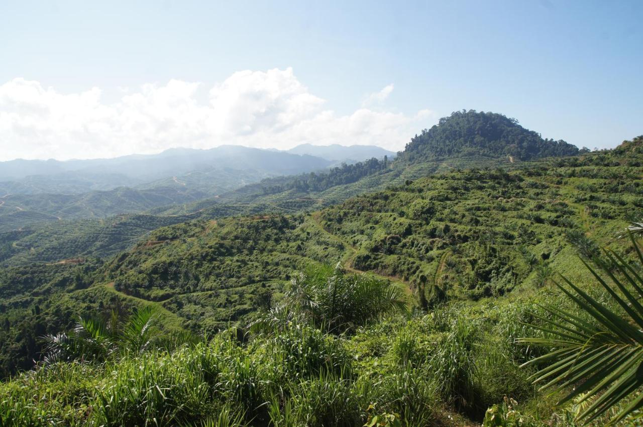 Sabah Tea Resort ราเนา ภายนอก รูปภาพ